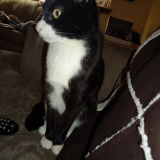 94-38-lgcf0af08dcf8dcb77