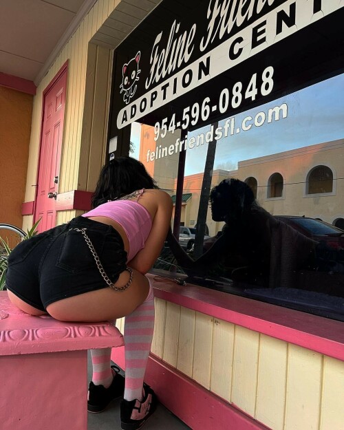 9541C2DE 47D3 4E83 81D5 2302C351C7BD