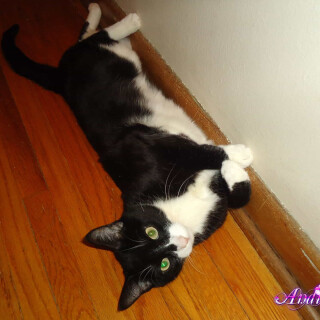 96-37-lge4cb9d5d6077e4f9