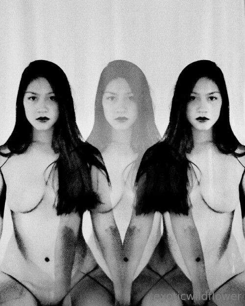 960x1201 5260fe911b695627971792fd8e0d8971