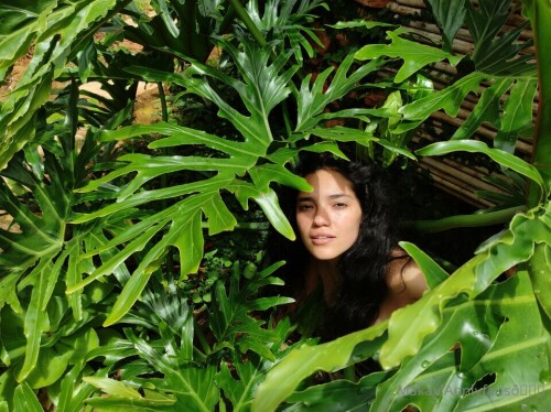 960x719 25046576b97d831fb9a58014464538f702147f78a4889e14