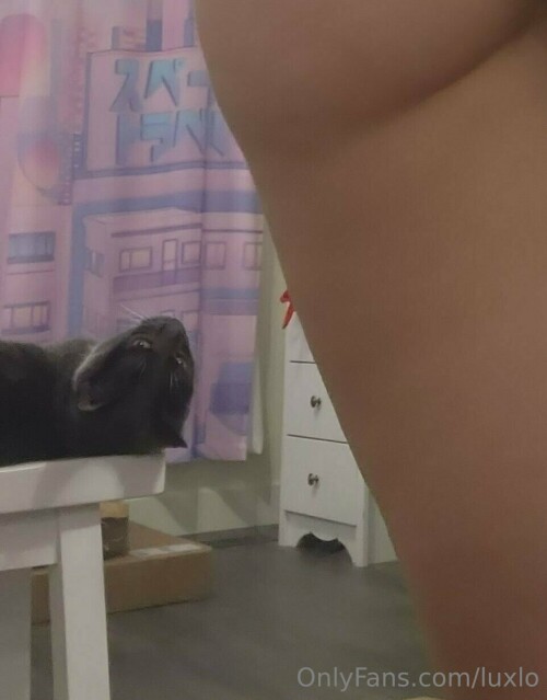 962x1229 45f9111e9a6a5828aa52f6c7cba098db022a220d30017bb2