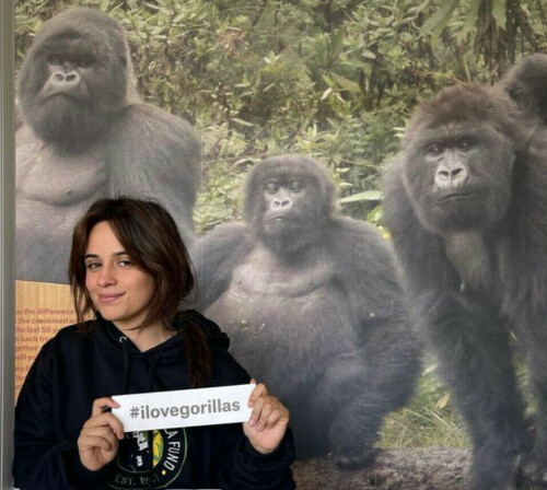 96E52C13 6842 491F 955C 747023AE2A65