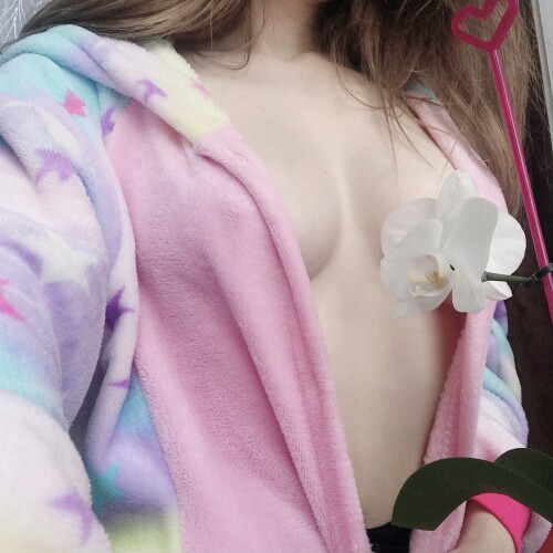 97855fd7 3c1a 44d2 9a14 2482a6cda457