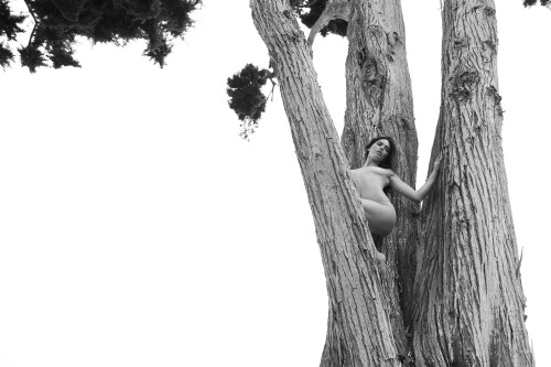 97A3B298 3F21 4FD4 8452 1AABAD0BEA27