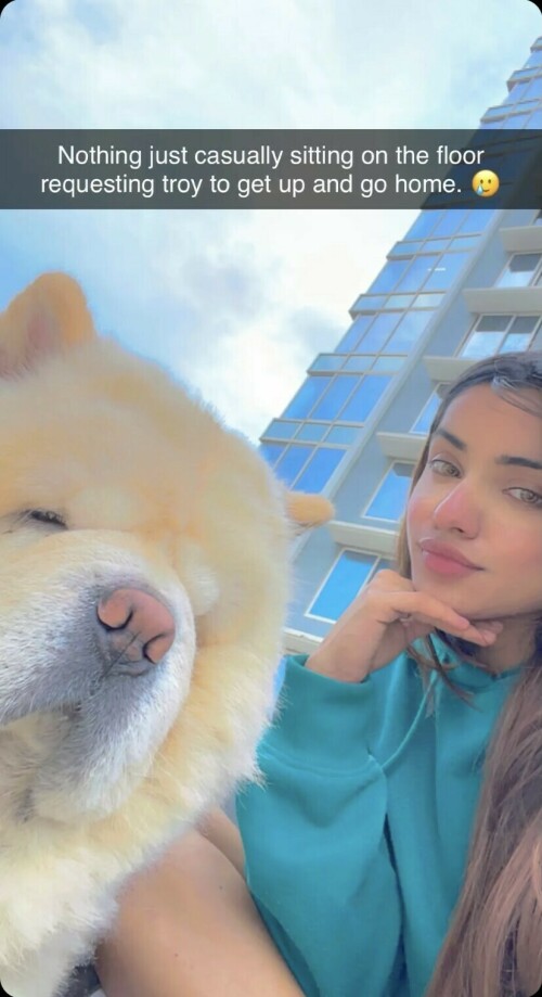 99A5E69F 2BCB 4933 B550 2F591DE58E8E