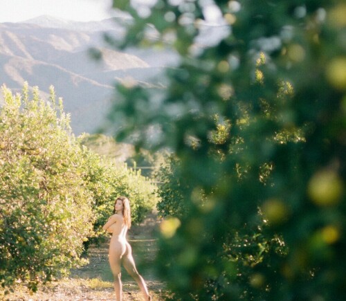 99BE30E3 E854 435A B4DA 5AA485FB4A9C