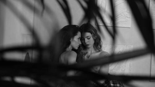 9a3d2813 56d4 46e4 971c adcb495fdf321c455b01cb167403