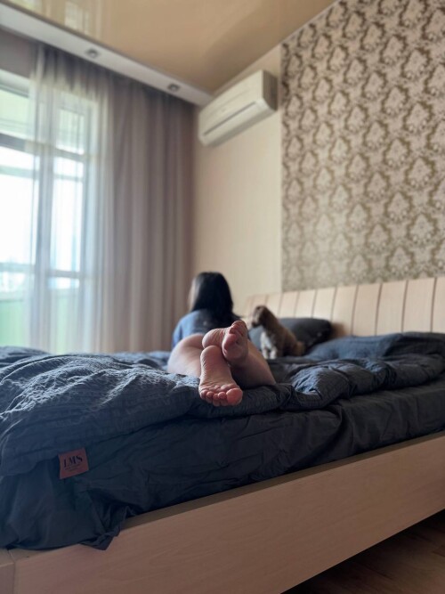 9c8e88f3 0c61 480a a750 e5363be4705a013cc439eb7d8a44