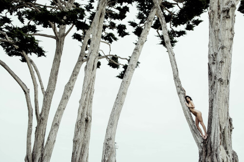 A5B2E095 8613 46C9 909A B4B410913989