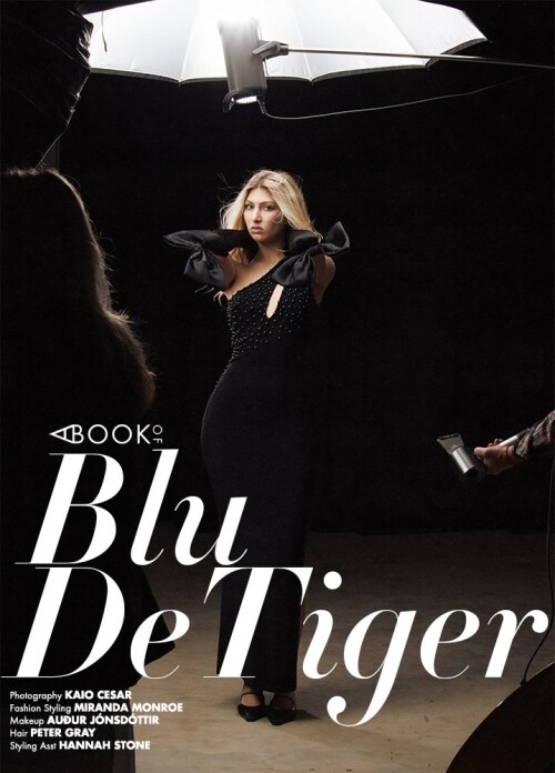 ABOOKOFBLUDETIGER_Opener1d82033fb64734f26