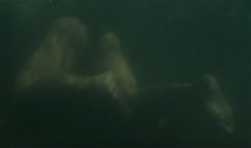 AK-348b6d57b39901f8c83