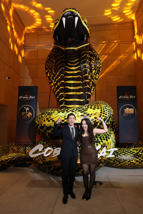 AS010127 6V8H3cNV283c97ce29c87e7e