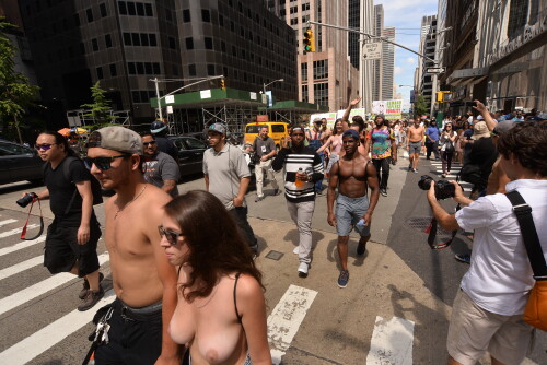 AVT 44924b019698b44f51f3