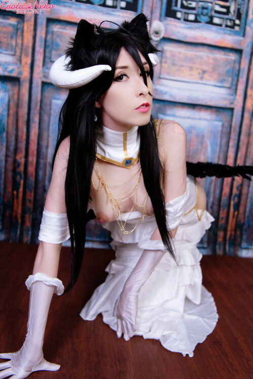 Albedo Neko 4 IBthT2UQ504dcd4f5b8f34d4