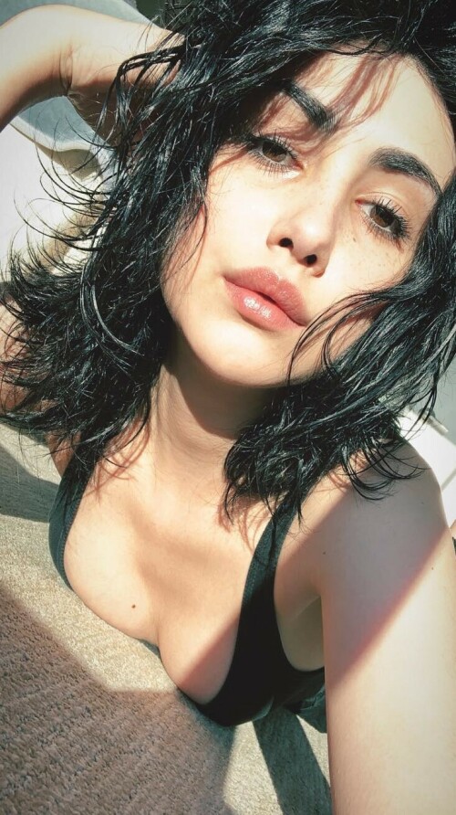 Alexa 251da417345f033fd