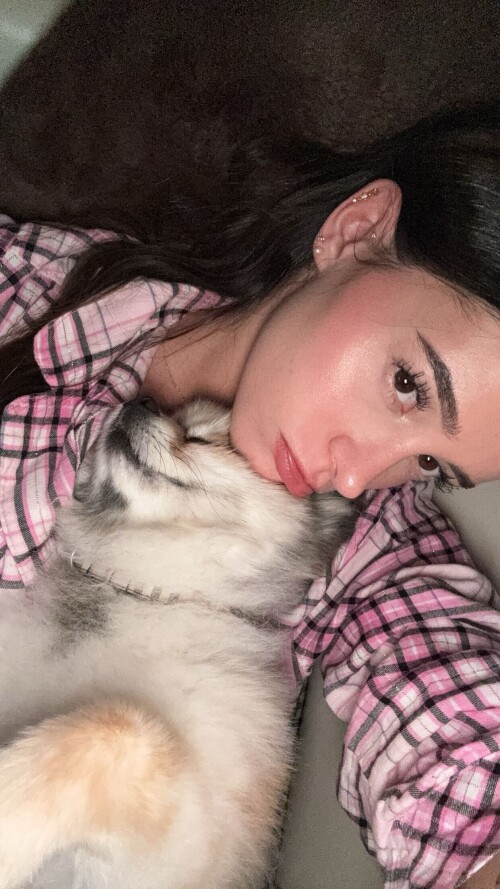 All Video Downloader snapchat image 170471796996291659ec563a9aa96