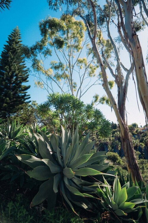 AlyshaNettShotbyKaloopy 12