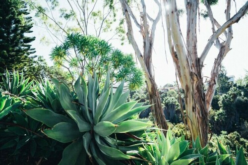 AlyshaNettShotbyKaloopy 2