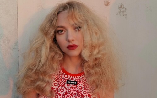 AmandaSeyfriedimageb0a24f5cfa402e6a