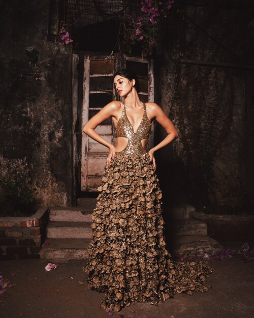 Ananya 016de5b2dd9f25ddf1