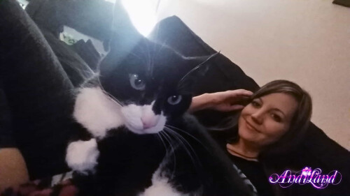 Andi Land California 2017 Set 565 007862ff3e9340ef411f