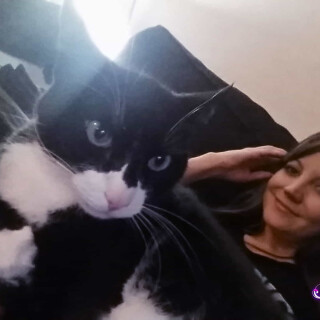 Andi-Land-California-2017-Set-565-007862ff3e9340ef411f