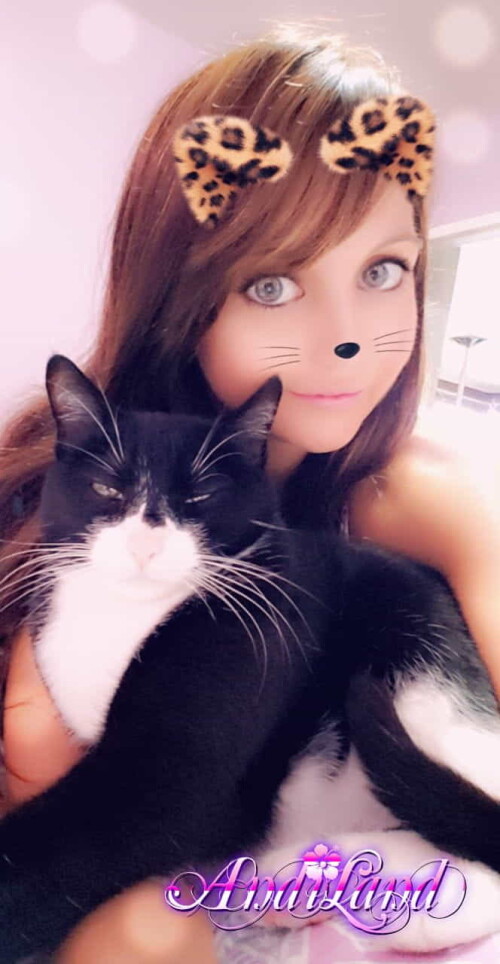 Andi Land Phone Summer 2018 Set 644 00163b0422ccba32be99