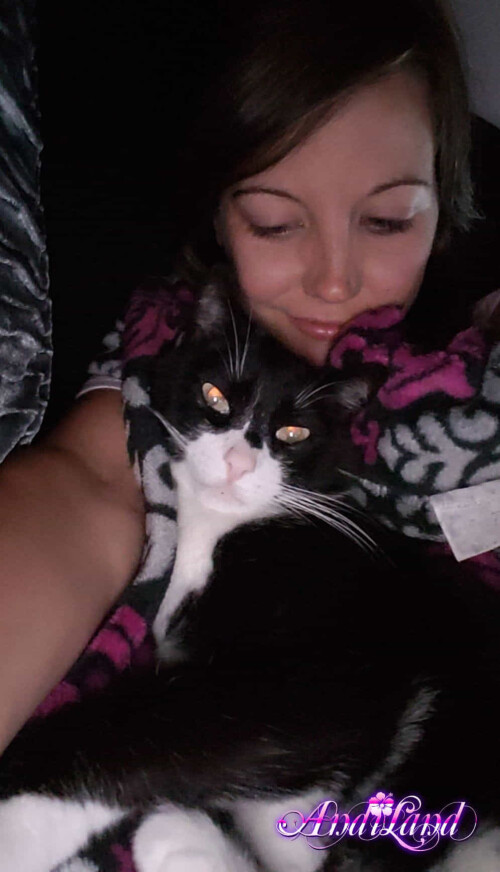 Andi Land Phone Summer 2018 Set 644 003876f3eea091d59707