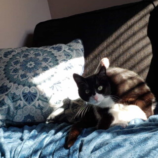 Andi-Land-Phone-Summer-2018-Set-644-00477571034b63fd822f