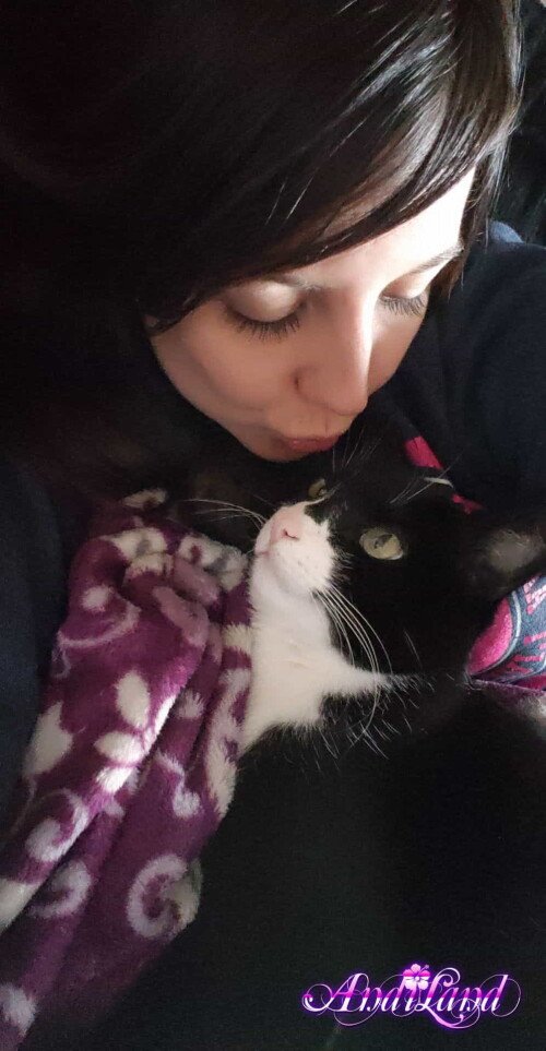 Andi Land Phone Summer 2018 Set 644 00494caeda6a205c0dc9