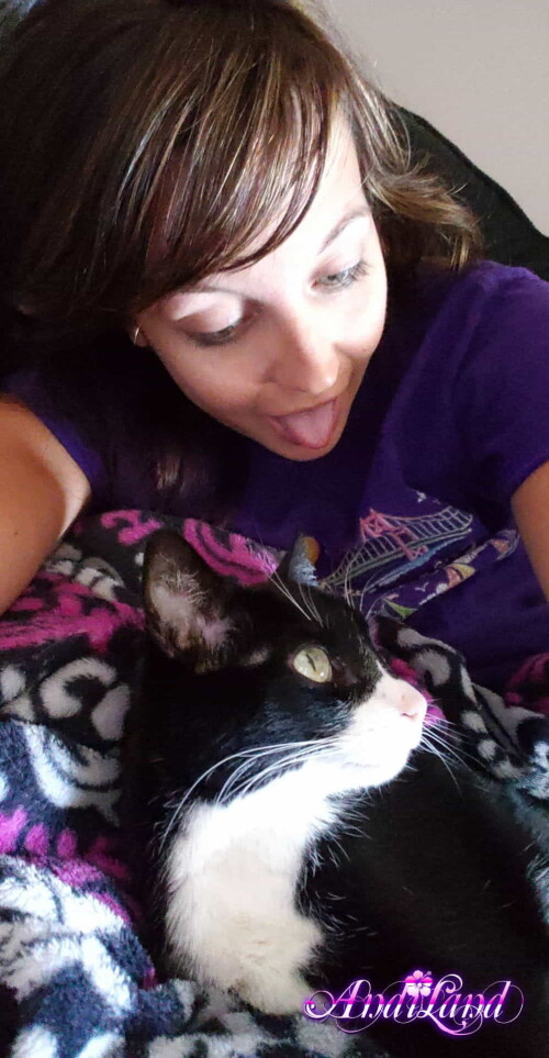 Andi Land Phone Summer 2018 Set 644 0066931de5cf0e3a6a9e