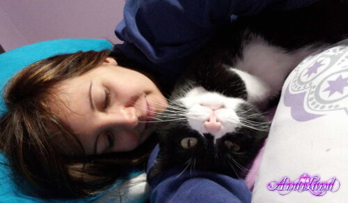 Andi Land Phone Summer 2018 Set 644 00853c1abc07ff49f82f