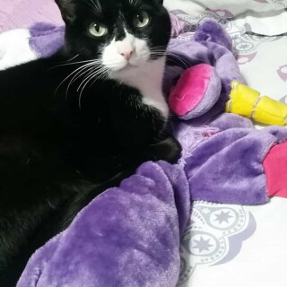 Andi-Land-Set-618-0035edb1ee197443df2e