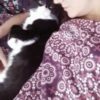 Andi-Land-Set-618-0101ad2b36836283c857