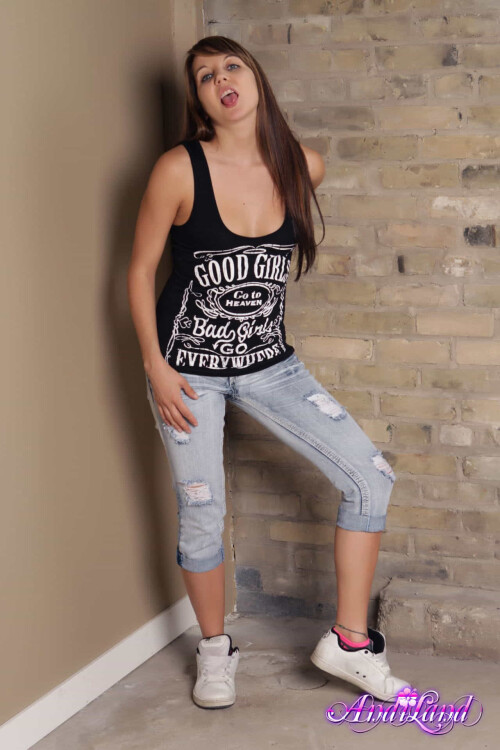 Andi Land Set 641 001d35984dda6a97266