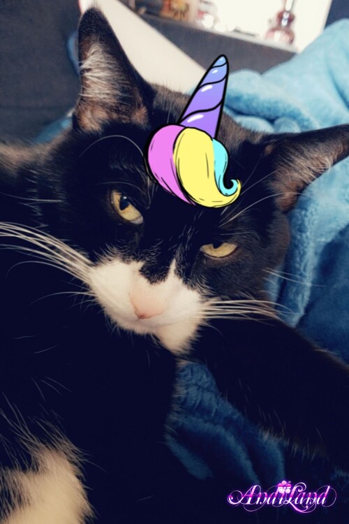 Andi Land Set 670 0027de1ee457690adba