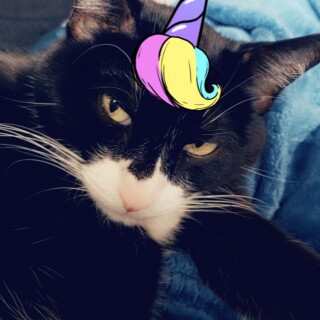 Andi-Land-Set-670-0027de1ee457690adba