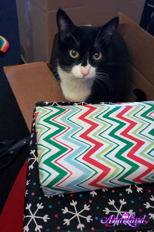 Andi Land Set 670 012700da0417814385f