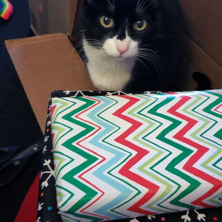 Andi-Land-Set-670-012700da0417814385f