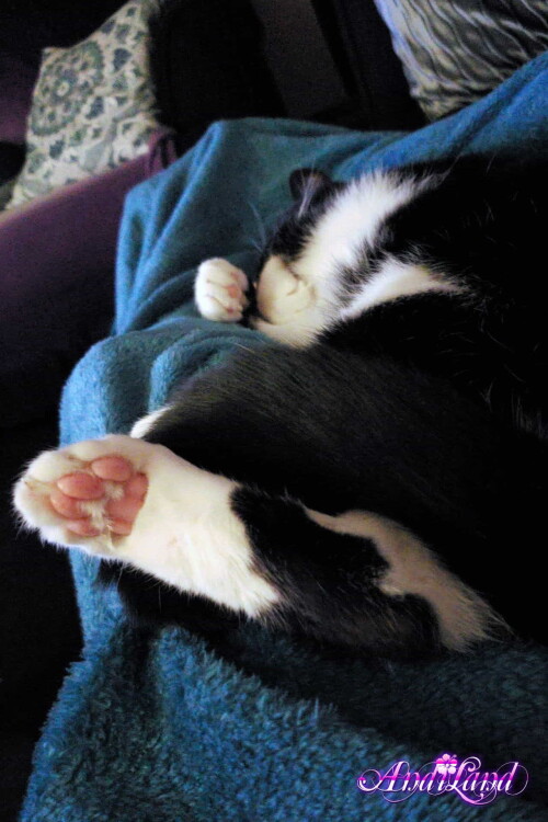 Andi Land Set 670 020e261683ab9dca7dd