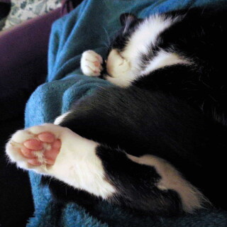 Andi-Land-Set-670-020e261683ab9dca7dd