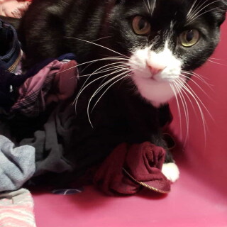 Andi-Land-Set-670-021df43c78f5a3bb5f9