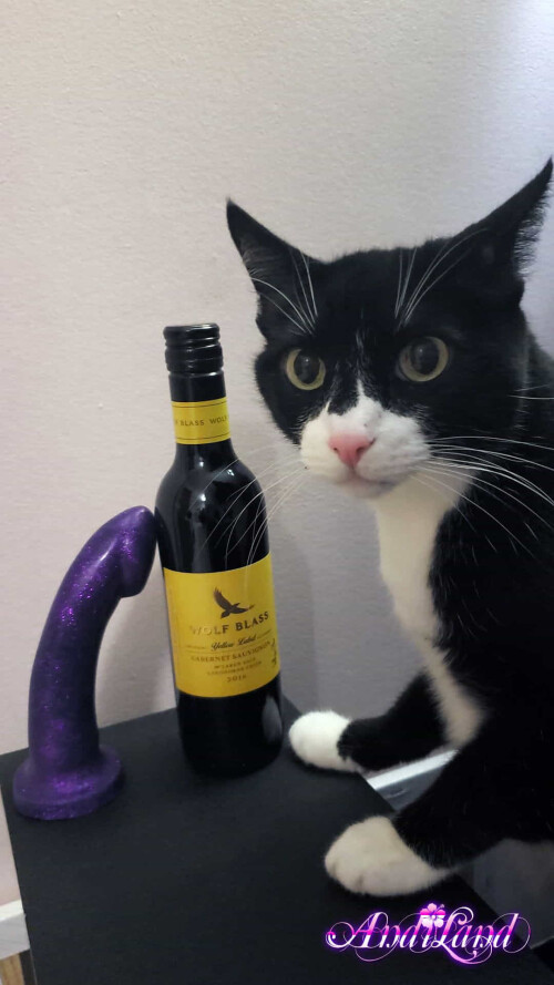 Andi Land Set 670 033e6111c3c04675893