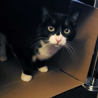 Andi-Land-Set-670-076ecb17f33a7ed5770