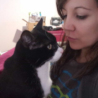 Andi-Land-Set-672-020ca153baaac317418