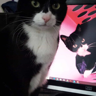 Andi-Land-Set-672-027efea00b568c1e3d4