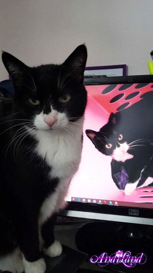 Andi Land Set 672 028483c20cb36e6a5a9