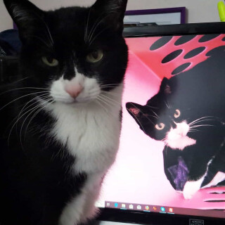 Andi-Land-Set-672-028483c20cb36e6a5a9