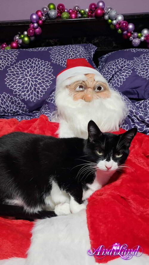 Andi Land Set 672 029e58c178483aee341